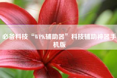 必备科技“WPK辅助器”科技辅助神器手机版