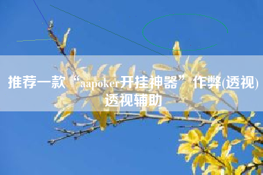 推荐一款“aapoker开挂神器”作弊(透视)透视辅助