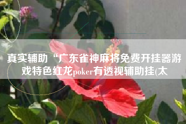 真实辅助“广东雀神麻将免费开挂器游戏特色红龙poker有透视辅助挂(太