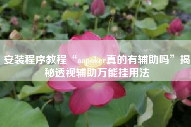 安装程序教程“aapoker真的有辅助吗”揭秘透视辅助万能挂用法