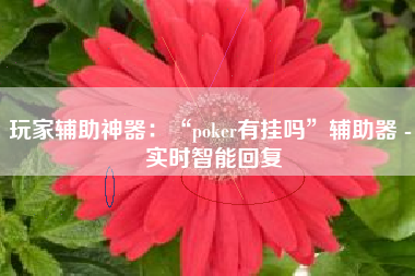 玩家辅助神器：“poker有挂吗”辅助器 - 实时智能回复