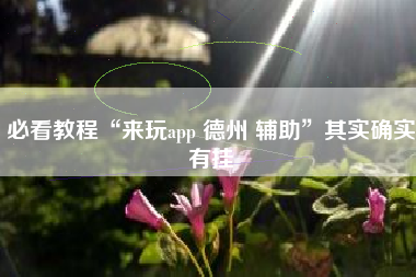 必看教程“来玩app 德州 辅助	”其实确实有挂
