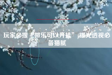 玩家必搜“微乐可以开挂	”(曝光透视必备猫腻