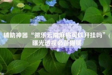 辅助神器“微乐云南麻将可以开挂吗”(曝光透视必备猫腻