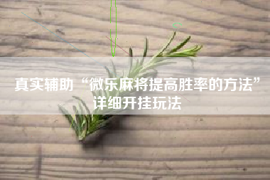 真实辅助“微乐麻将提高胜率的方法	”详细开挂玩法