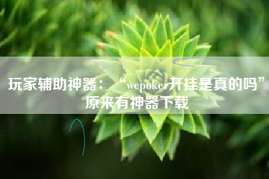 玩家辅助神器：“wepoker开挂是真的吗”原来有神器下载
