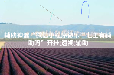 辅助神器“微信小程序微乐二七王有辅助吗”开挂(透视)辅助
