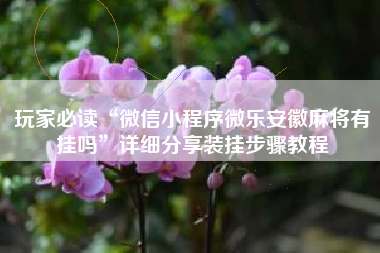 玩家必读“微信小程序微乐安徽麻将有挂吗	”详细分享装挂步骤教程