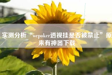 实测分析“wepoker透视挂是否被禁止”原来有神器下载