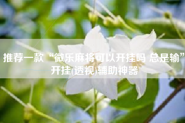 推荐一款“微乐麻将可以开挂吗 总是输	”开挂(透视)辅助神器