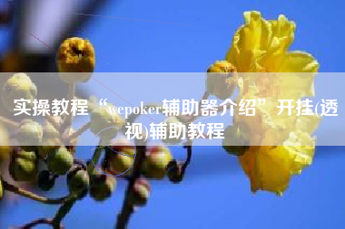 实操教程“wepoker辅助器介绍”开挂(透视)辅助教程