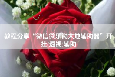 教程分享“微信微乐锄大地辅助器”开挂(透视)辅助