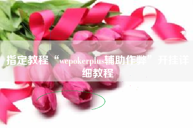 指定教程“wepokerplus辅助作弊	”开挂详细教程