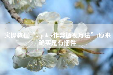 实操教程“wepoker作弊透视方法”(原来确实是有插件