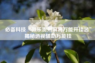 必备科技“微乐贵州麻将万能开挂器	”揭秘透视辅助万能挂