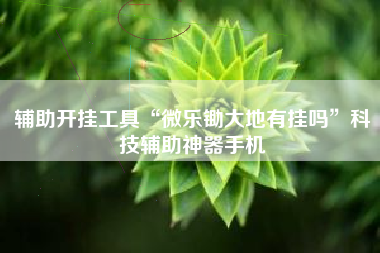 辅助开挂工具“微乐锄大地有挂吗”科技辅助神器手机