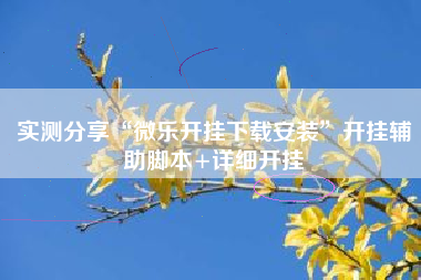 实测分享“微乐开挂下载安装”开挂辅助脚本+详细开挂