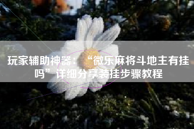 玩家辅助神器：“微乐麻将斗地主有挂吗”详细分享装挂步骤教程