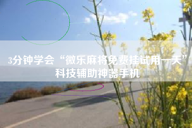 3分钟学会“微乐麻将免费挂试用一天”科技辅助神器手机