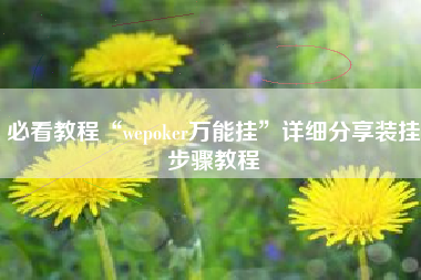 必看教程“wepoker万能挂”详细分享装挂步骤教程