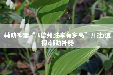 辅助神器“ak德州胜率有多高”开挂(透视)辅助神器