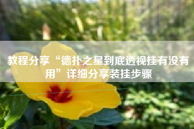 教程分享“德扑之星到底透视挂有没有用	”详细分享装挂步骤