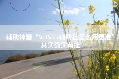 辅助神器“WePoker辅助挂怎么用更准”其实确实有挂