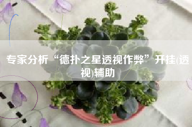 专家分析“德扑之星透视作弊”开挂(透视)辅助
