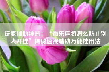 玩家辅助神器：“微乐麻将怎么防止别人开挂”揭秘透视辅助万能挂用法