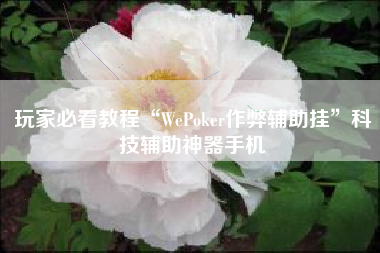 玩家必看教程“WePoker作弊辅助挂	”科技辅助神器手机
