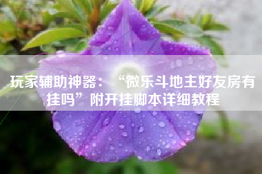 玩家辅助神器：“微乐斗地主好友房有挂吗”附开挂脚本详细教程