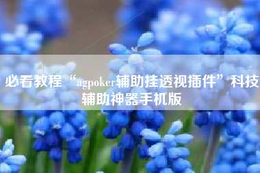 必看教程“agpoker辅助挂透视插件”科技辅助神器手机版