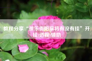 教程分享“微乐贵阳麻将有没有挂	”开挂(透视)辅助