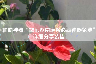 辅助神器“微乐湖南麻将必赢神器免费”详细分享装挂
