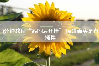 3分钟教程“WePoker开挂”(原来确实是有插件
