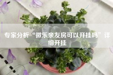 专家分析“微乐亲友房可以开挂吗”详细开挂