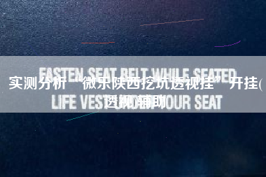 实测分析“微乐陕西挖坑透视挂	”开挂(透视)辅助