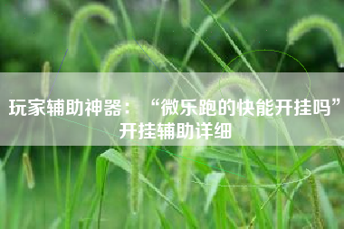 玩家辅助神器：“微乐跑的快能开挂吗”开挂辅助详细