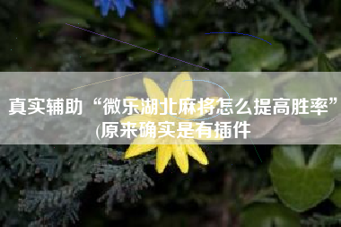 真实辅助“微乐湖北麻将怎么提高胜率	”(原来确实是有插件