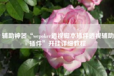 辅助神器“wepoker透视脚本插件透视辅助插件”开挂详细教程