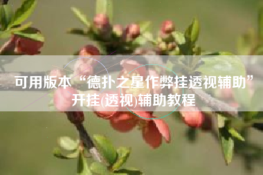 可用版本“德扑之星作弊挂透视辅助	”开挂(透视)辅助教程