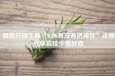 辅助开挂工具“WPK有没有透视挂	”详细分享装挂步骤教程