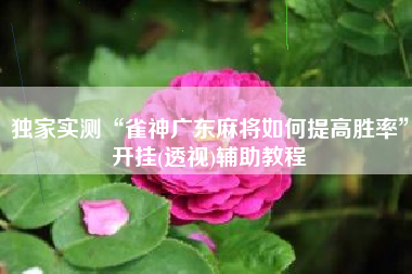 独家实测“雀神广东麻将如何提高胜率	”开挂(透视)辅助教程