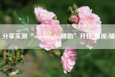 分享实测“wepokerplus辅助	”开挂(透视)辅助