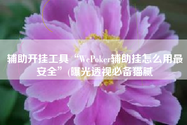 辅助开挂工具“WePoker辅助挂怎么用最安全	”(曝光透视必备猫腻