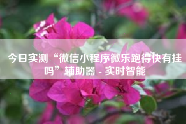 今日实测“微信小程序微乐跑得快有挂吗”辅助器 - 实时智能