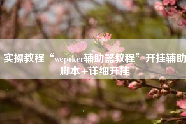 实操教程“wepoker辅助器教程	”开挂辅助脚本+详细开挂