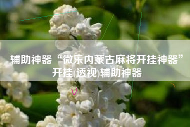辅助神器“微乐内蒙古麻将开挂神器	”开挂(透视)辅助神器