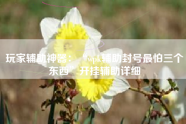 玩家辅助神器：“wpk辅助封号最怕三个东西”开挂辅助详细