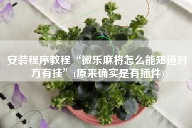 安装程序教程“微乐麻将怎么能知道对方有挂”(原来确实是有插件)